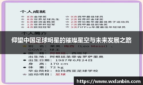 仰望中国足球明星的璀璨星空与未来发展之路